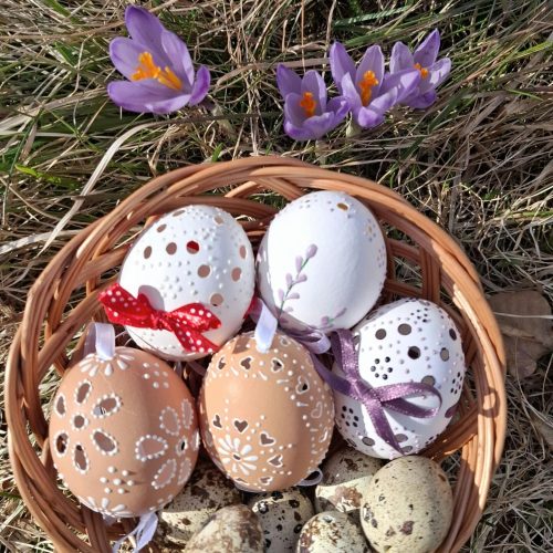 Mission Pâques : Le guide de survie décomplexé pour une chasse aux œufs « zéro prise de tête »