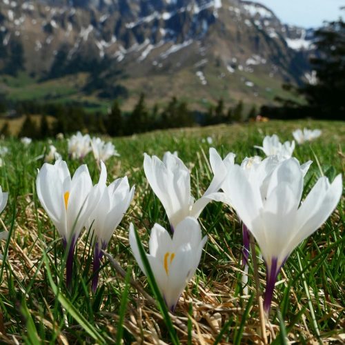 Départ en vacances de printemps : La check-list de survie (sans stress) avec un DT1